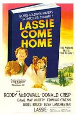 Watch Lassie Come Home Xmovies8