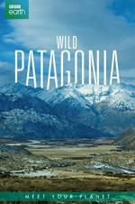 Watch Wild Patagonia Xmovies8