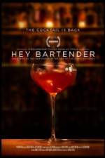 Watch Hey Bartender Xmovies8