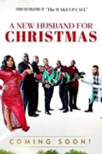 Watch A New Husband for Christmas Xmovies8