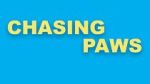 Watch Chasing Paws (Short 2020) Xmovies8