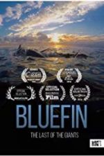 Watch Bluefin Xmovies8