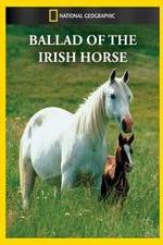 Watch Ballad of the Irish Horse Xmovies8