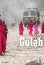 Watch Gulabi Gang Xmovies8