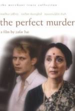 Watch The Perfect Murder Xmovies8