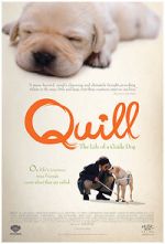 Watch Quill: The Life of a Guide Dog Xmovies8