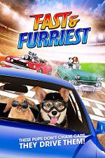 Watch Fast and Furriest Xmovies8