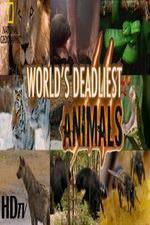 Watch National Geographic - Worlds Deadliest Animal Battles Xmovies8