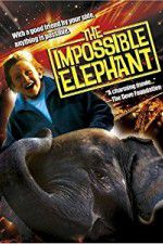 Watch The Incredible Elephant Xmovies8