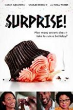 Watch The Surprise! Xmovies8