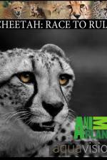 Watch Cheetah: Race to Rule Xmovies8