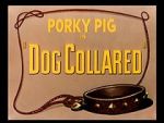 Watch Dog Collared (Short 1950) Xmovies8