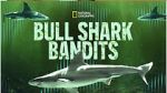 Watch Bull Shark Bandits Xmovies8