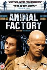 Watch Animal Factory Xmovies8