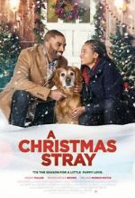 Watch A Christmas Stray Xmovies8