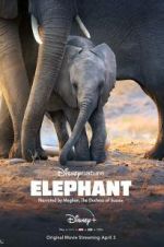 Watch Elephant Xmovies8