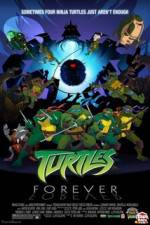 Watch Teenage Mutant Ninja Turtles Turtles Forever Xmovies8