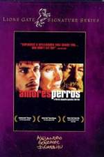 Watch Amores perros Xmovies8