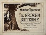 Watch The Broken Butterfly Xmovies8