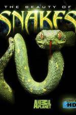 Watch The Beauty of Snakes Xmovies8