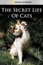 Watch The Secret Life of Cats Xmovies8