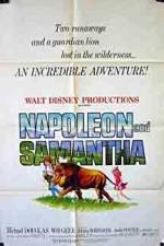 Watch Napoleon and Samantha Xmovies8