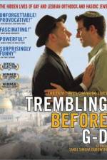 Watch Trembling Before G-d Xmovies8