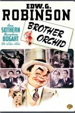 Watch Brother Orchid Xmovies8