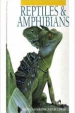 Watch Reptiles and Amphibians Xmovies8