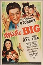 Watch Mister Big Xmovies8