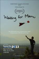 Watch Waiting for Mamu Xmovies8