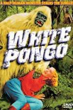 Watch White Pongo Xmovies8