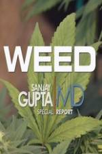 Watch CNN Weed Sanjay Gupta Report Xmovies8