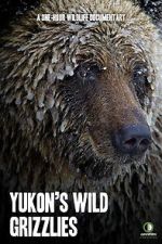 Watch Yukon\'s Wild Grizzlies Xmovies8