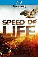 Watch Speed of Life Xmovies8