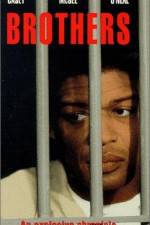 Watch Brothers Xmovies8