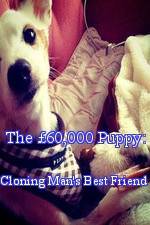 Watch The 60,000 Puppy: Cloning Man's Best Friend Xmovies8