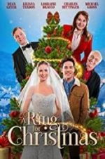 Watch A Ring for Christmas Xmovies8