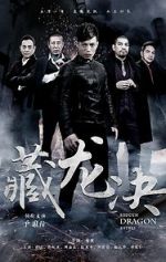 Watch Hidden Dragon Battle Xmovies8