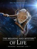 Watch The Meaning and Mystery of Life Xmovies8