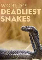 Watch World's Deadliest Snakes Xmovies8