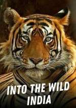 Watch Into the Wild India Xmovies8