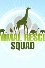 Watch Animal Rescue Squad Xmovies8