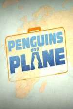 Watch Penguins on a Plane Xmovies8