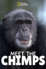 Watch Meet the Chimps Xmovies8