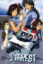 Watch You're Under Arrest Xmovies8