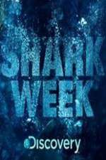 Watch Shark Week Xmovies8