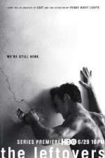 Watch The Leftovers Xmovies8