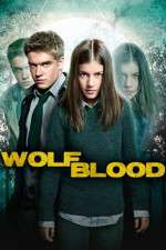 Watch Wolfblood Secrets Xmovies8