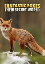Watch Fantastic Foxes: Their Secret World Xmovies8
